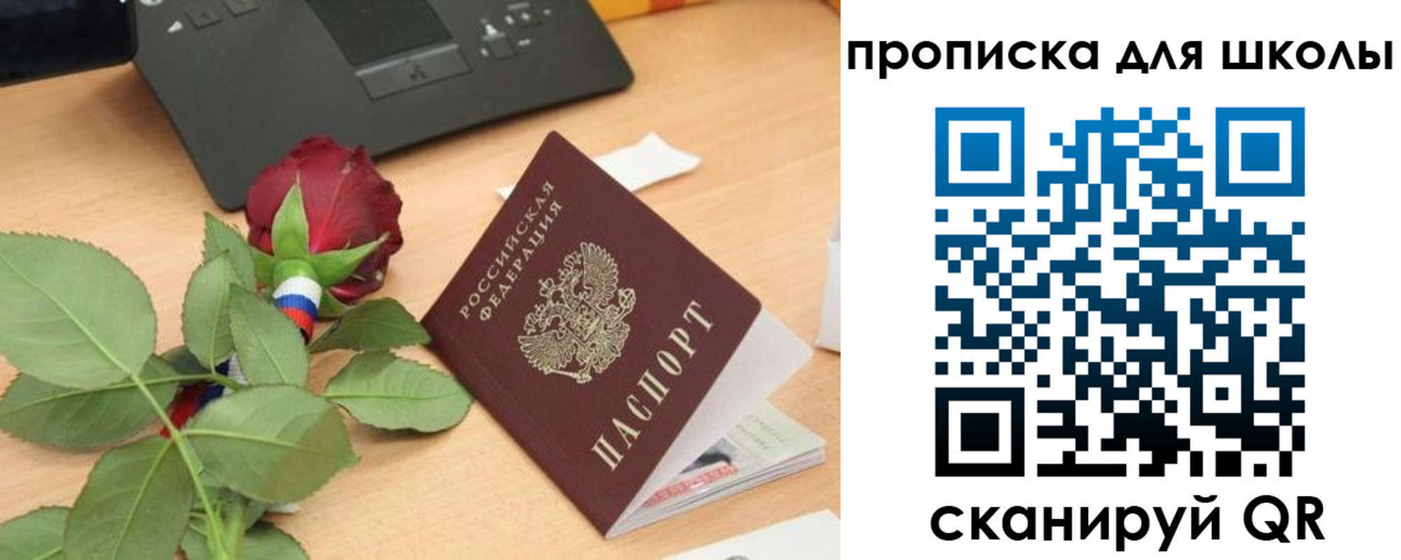 прописка паспорт в Покрове